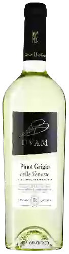 Wijnmakerij Maurizio B Martino MBM - Uvam Pinot Grigio