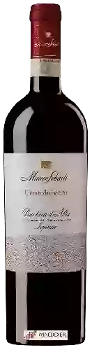 Wijnmakerij Mauro Sebaste - Centobricchi Barbera d'Alba Superiore