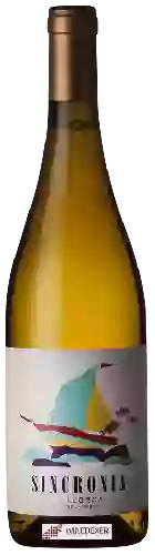 Wijnmakerij Mesquida Mora - Sincronia Blanc