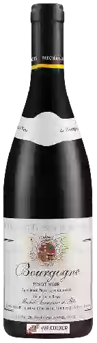 Wijnmakerij Michel Sarrazin - Bourgogne Rouge