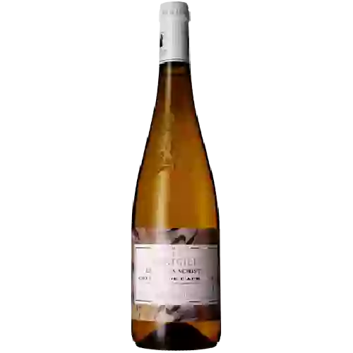 Domaine de Montgilet - Rosé de Loire