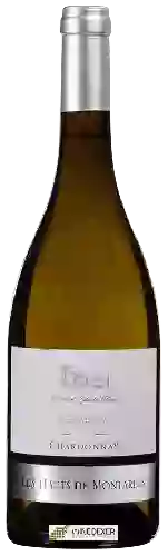 Wijnmakerij Les Vignerons d'Alignan du Vent - Les Hauts de Montarels Chardonnay