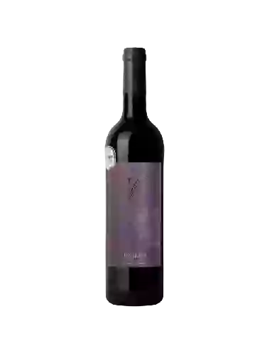 Wijnmakerij Les Vignerons d'Alignan du Vent - Neffiez Buffe Vent