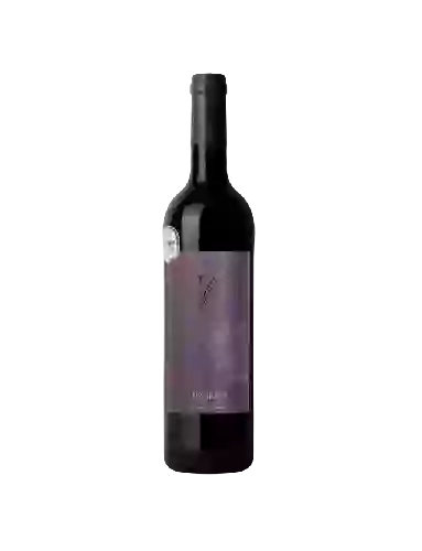 Wijnmakerij Les Vignerons d'Alignan du Vent - Neffiez Buffe Vent Wijnmakerij Les Vignerons d'Alignan du Vent - Neffiez Buffe Vent
