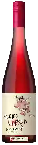Wijnmakerij Montes - Cherub (Syrah) Rosé