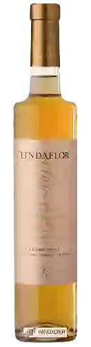Wijnmakerij Monteviejo - Lindaflor Chardonnay Tardío