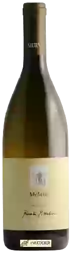 Wijnmakerij MURVA - Renata Pizzulin Estate Wines - Melaris Malvasia