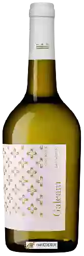 Wijnmakerij Murviedro - Galeam Dry Muscat