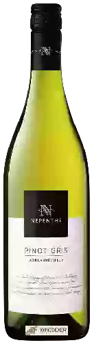 Wijnmakerij Nepenthe - Pinot Gris