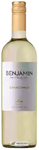 Wijnmakerij Nieto Senetiner - Benjamin Chardonnay