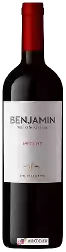 Wijnmakerij Nieto Senetiner - Benjamin Merlot