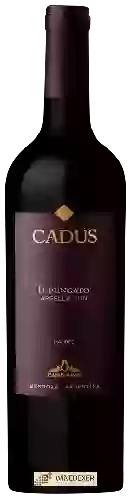 Wijnmakerij Nieto Senetiner - Cadus Appellation Malbec