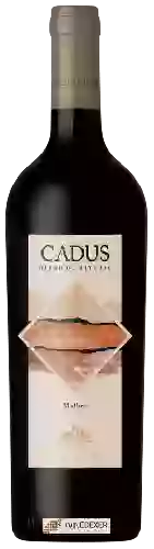 Wijnmakerij Nieto Senetiner - Cadus Blend de Alturas Malbec