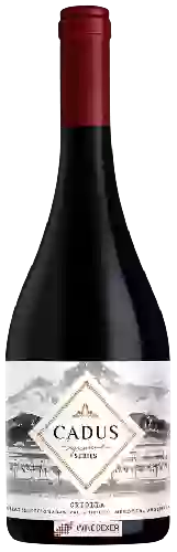 Wijnmakerij Nieto Senetiner - Cadus Signature Series Criolla