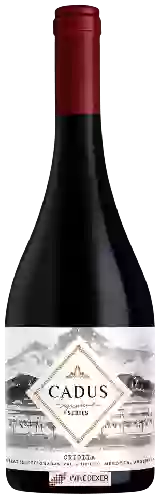 Wijnmakerij Nieto Senetiner - Cadus Signature Series Criolla Wijnmakerij Nieto Senetiner - Cadus Signature Series Criolla