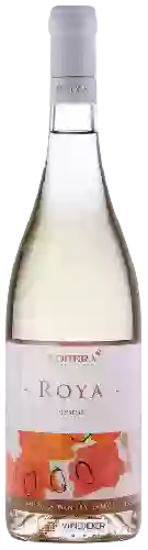 Wijnmakerij Nopera - Muscat