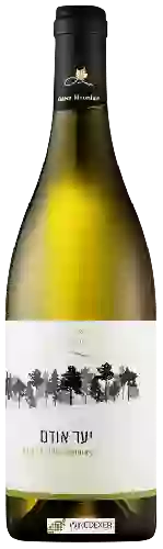 Wijnmakerij Odem Mountain (יקב הר אודם) - Odem Forest Viognier - Chardonnay