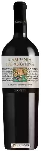 Wijnmakerij Orneta - Falanghina