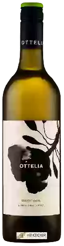 Wijnmakerij Ottelia - Pinot Gris