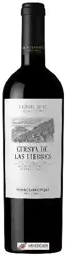 Wijnmakerij Pago de Carraovejas - Cuesta de Las Liebres