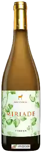 Wijnmakerij Pago de Vallegarcía - Miriade Viognier