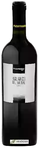 Wijnmakerij Paternoster - Aglianico del Vulture