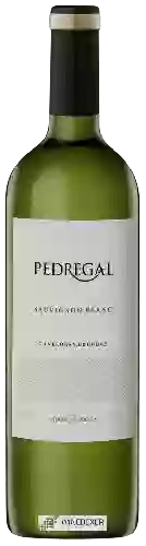 Wijnmakerij Pedregal - Sauvignon Blanc