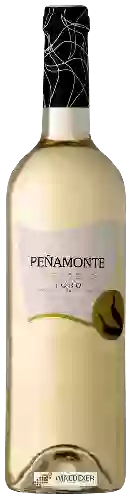 Wijnmakerij Peñamonte - Verdejo