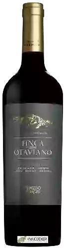 Wijnmakerij Otaviano - Penedo Borges Estate Premium Cabernet Sauvignon