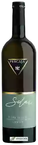 Wijnmakerij Pescaja - Solei Terre Alfieri Arneis