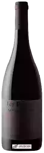 Wijnmakerij Dominique Joseph - Le Petit Saint Vincent - Les Poyeux Saumur-Champigny