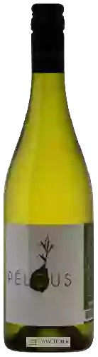 Wijnmakerij Philippe Nusswitz - Pélous Blanc