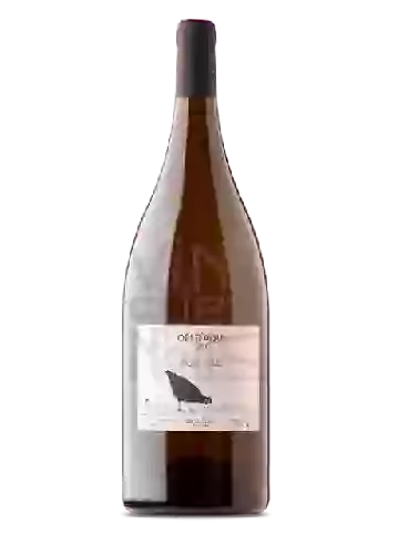 Wijnmakerij Philippe Pacalet - Beaujolais Vin de Primeur
