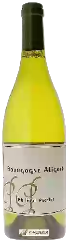 Wijnmakerij Philippe Pacalet - Bourgogne Aligoté