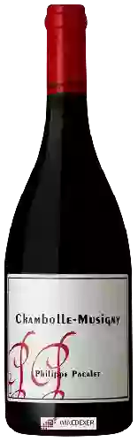 Wijnmakerij Philippe Pacalet - Chambolle-Musigny