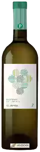 Wijnmakerij Celler Piñol - Raig de Raïm Blanc