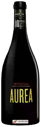 Wijnmakerij Pittacum - Aurea