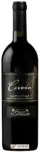 Wijnmakerij Poggio Il Castellare - Cervio Sant'Antimo