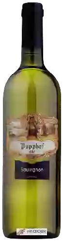 Wijnmakerij Popphof - Sauvignon