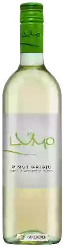 Wijnmakerij Colterenzio (Schreckbichl) - Lumo Pinot Grigio