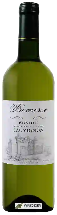 Wijnmakerij Promesse - Sauvignon Blanc