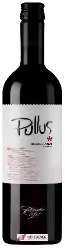 Wijnmakerij Pullus - Modri Pinot / Pinot Noir
