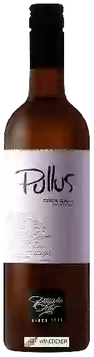 Wijnmakerij Pullus - Pinot Grigio Suho