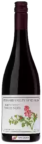 Wijnmakerij Pyramid Valley Vineyards - Earth Smoke Pinot Noir