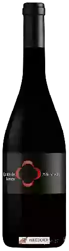 Wijnmakerij Lemos - Alfrocheiro Preto