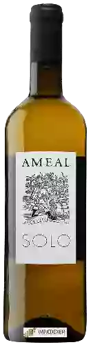 Wijnmakerij Quinta do Ameal - Solo