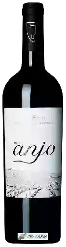 Wijnmakerij Quinta do Pinto - Terras do Anjo Tinto