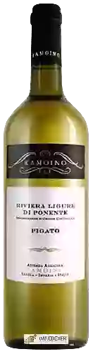 Wijnmakerij Ramoino - Pigato Riviera Ligure di Ponente
