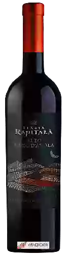 Wijnmakerij Tenuta Rapitalà - Alto Nero d'Avola