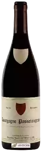 Wijnmakerij René Cacheux - Bourgogne Passetoutgrain